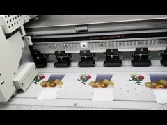 طباعة طابعة قميص DTF مع وضع سرعة 4m2 / h وبرنامج Photoprint Rip الاختياري